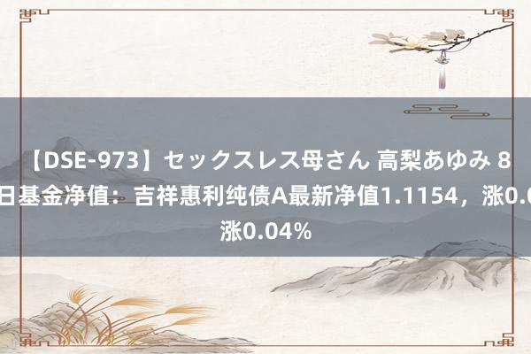 【DSE-973】セックスレス母さん 高梨あゆみ 8月1日基金净值：吉祥惠利纯债A最新净值1.1154，涨0.04%