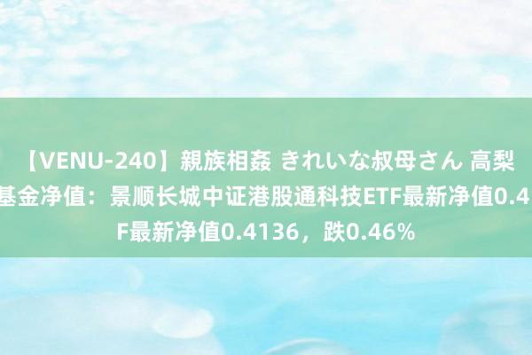 【VENU-240】親族相姦 きれいな叔母さん 高梨あゆみ 8月1日基金净值：景顺长城中证港股通科技ETF最新净值0.4136，跌0.46%