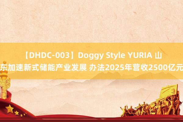 【DHDC-003】Doggy Style YURIA 山东加速新式储能产业发展 办法2025年营收2500亿元