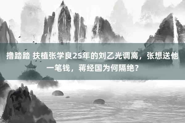 撸踏踏 扶植张学良25年的刘乙光调离，张想送他一笔钱，蒋经国为何隔绝？
