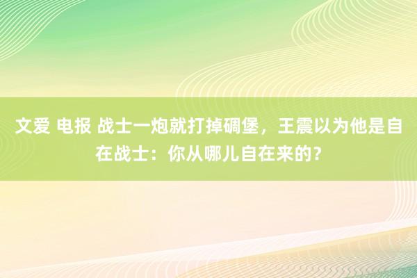 文爱 电报 战士一炮就打掉碉堡，王震以为他是自在战士：你从哪儿自在来的？