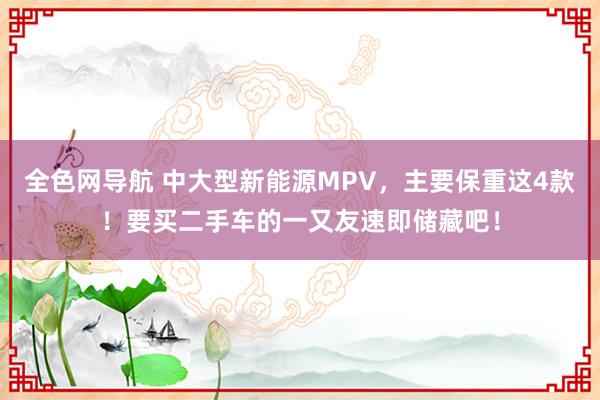 全色网导航 中大型新能源MPV，主要保重这4款！要买二手车的一又友速即储藏吧！