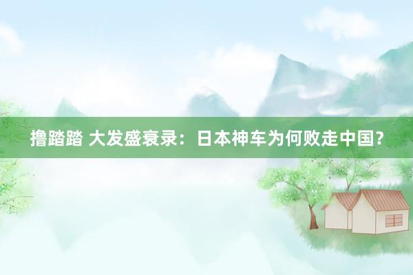 撸踏踏 大发盛衰录：日本神车为何败走中国？