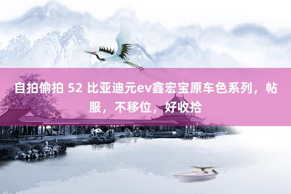 自拍偷拍 52 比亚迪元ev鑫宏宝原车色系列，帖服，不移位，好收拾