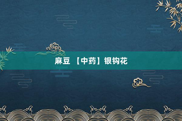 麻豆 【中药】银钩花