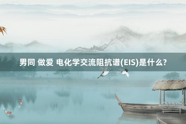 男同 做爱 电化学交流阻抗谱(EIS)是什么?